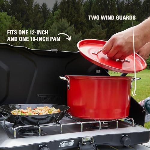 2-Burner Portable Propane Camping Stove with Wind Guards and Adjustable Heat Control