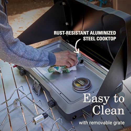 2-Burner Portable Propane Camping Stove with Wind Guards and Adjustable Heat Control