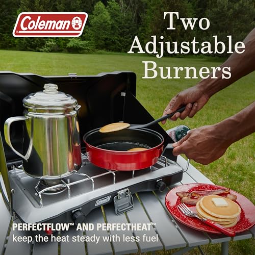 2-Burner Portable Propane Camping Stove with Wind Guards and Adjustable Heat Control