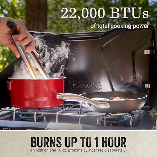 2-Burner Portable Propane Camping Stove with Wind Guards and Adjustable Heat Control